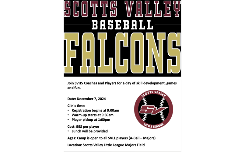 SVHS Baseball Clinic